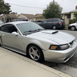 Mustang GT 