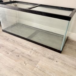55 gallon fish tank 