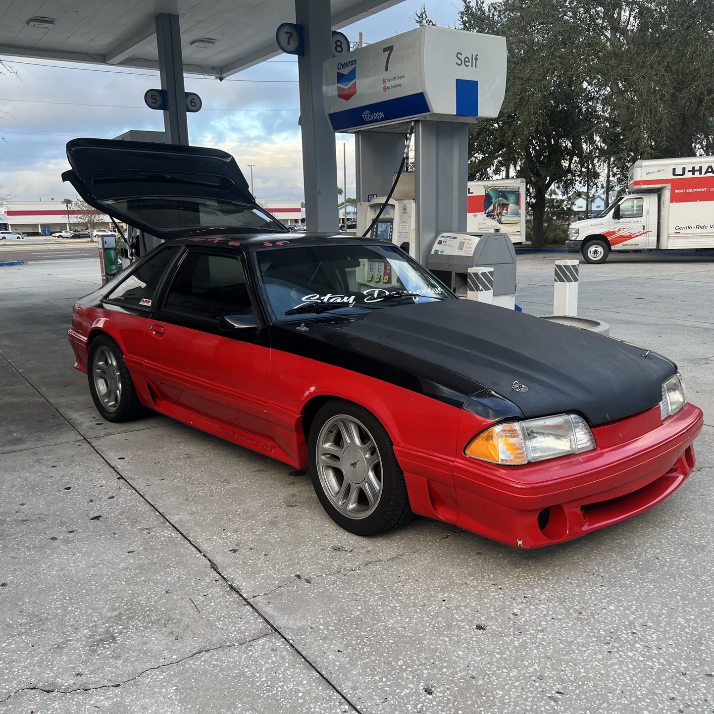 1989 Ford Mustang