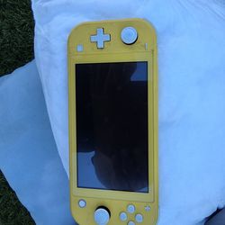 Switch lite