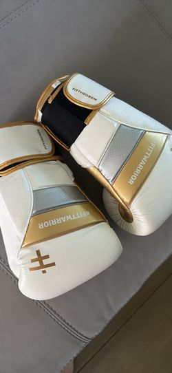 20oz Boxing gloves