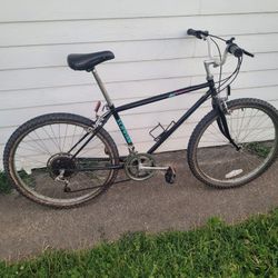 Schwinn Bike 