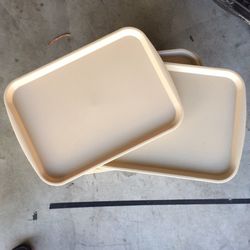 Lunch/ Food/ child Trays