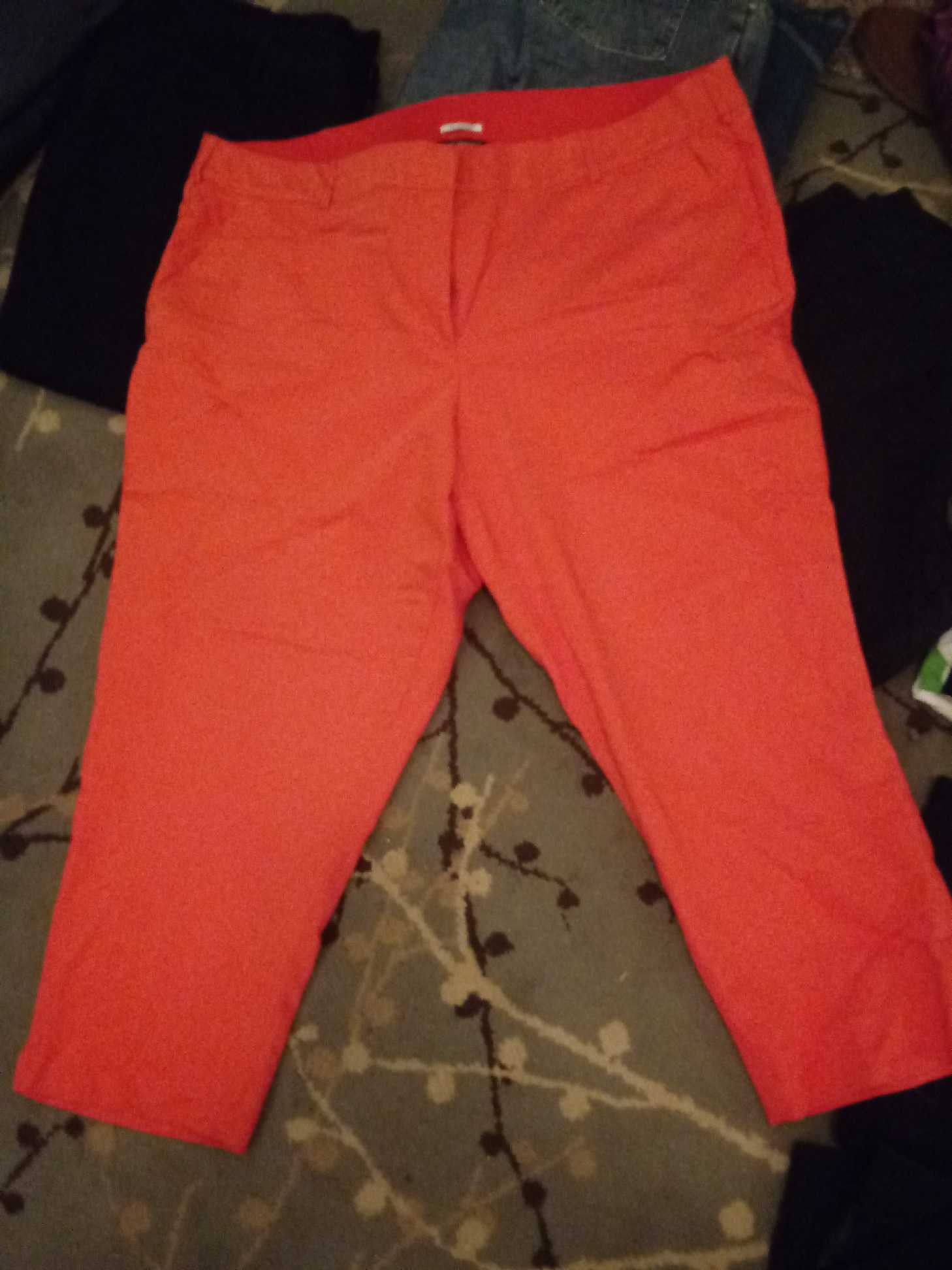 Orange Lane Bryant Pants