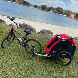 Burley Honey Bee 2-Kid Bike Trailer & Stroller – Great Condition