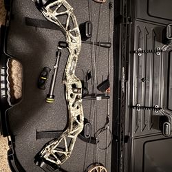 New Bear Paradox Bow + Case