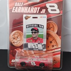 DALE EARNHARDT JR