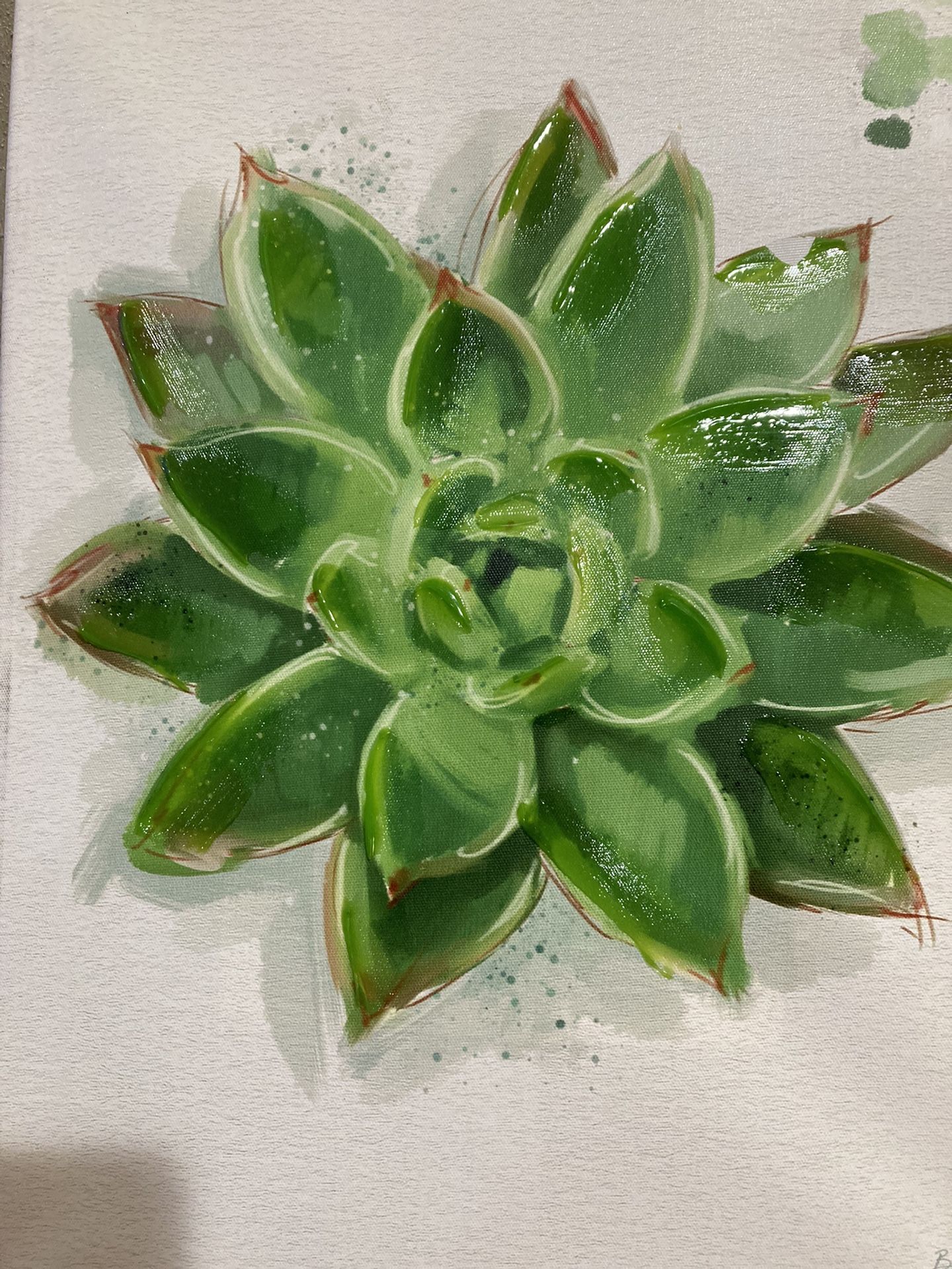 Beautiful Green Succulent Flower