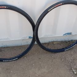 Specialized Slicks