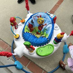 Baby Einstein Baby Bouncer