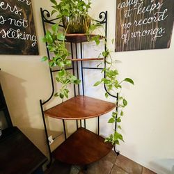 Corner Bookcase/shelf