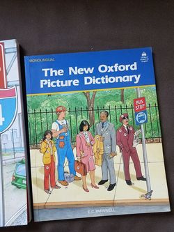 Picture dictionary books