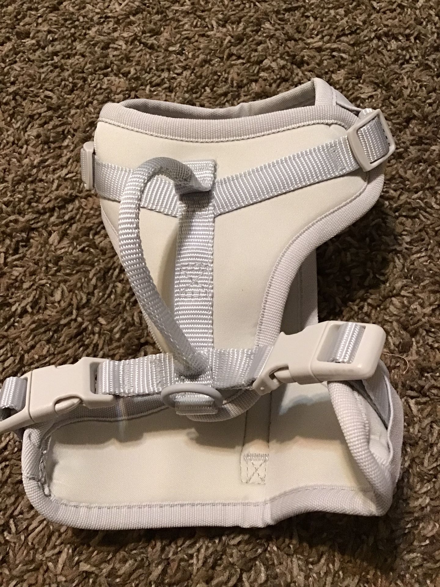 Small Gray Dog Harness