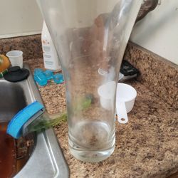 Glass Vase