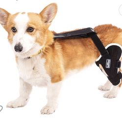 Dog Knee Brace 