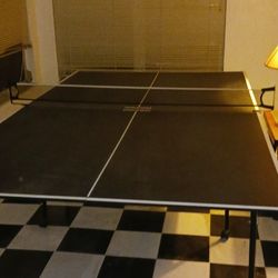 Ping Pong Table
