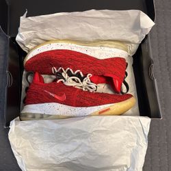 LeBron VX Low Size 11.5