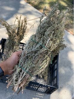 🌿 Naturally Air-Dried Rosemary Bundle – Fresh Aroma, Endless Uses!