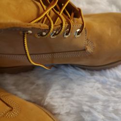 Brown Timberland Size 11 Brand New