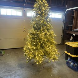 Christmas Tree