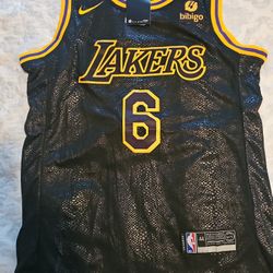 Lakers LeBron #6 Jersey Size 44