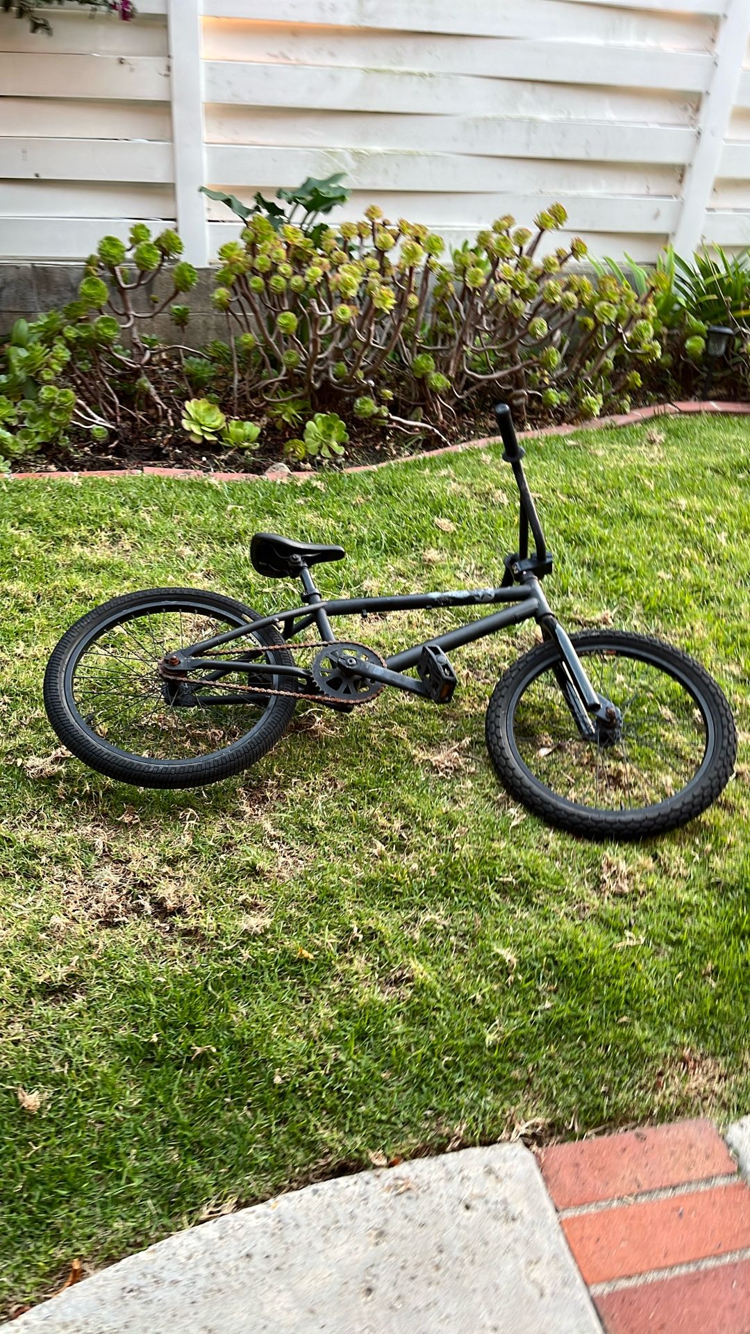 Haro Black Pearl