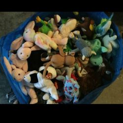 Ty Babies Some New Some Used All In Great Condition