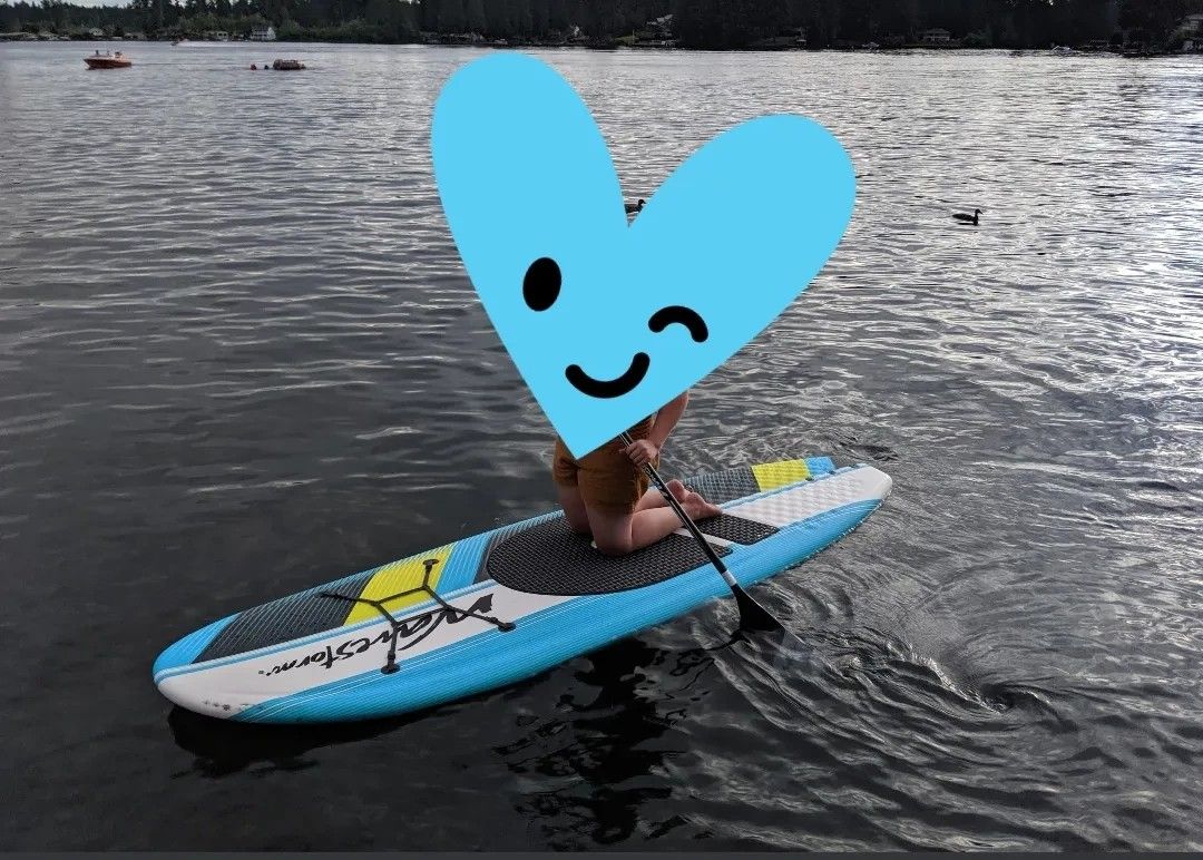 Wavestorm Paddle Board