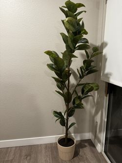 73" Faux Rubber Leaf Tree