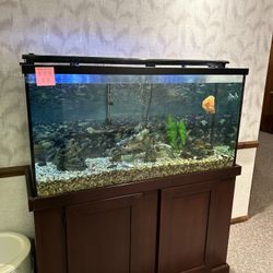 75-gallon Fish Tank With Stand And Good