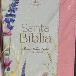 Biblia Reina Valera 1960