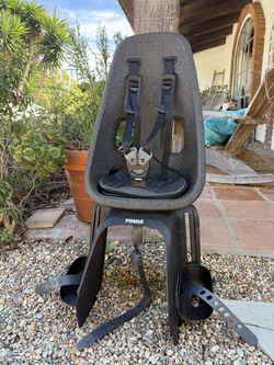 Thule Yepp Nexxt Maxi Bike Seat