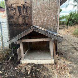 Free dog house