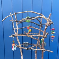 Parrot Perch Tree - A Great New Hangout Spot For That Special Birdee !! 