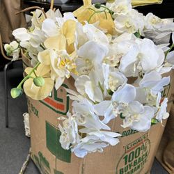Artificial Orchid Flowers Full Box