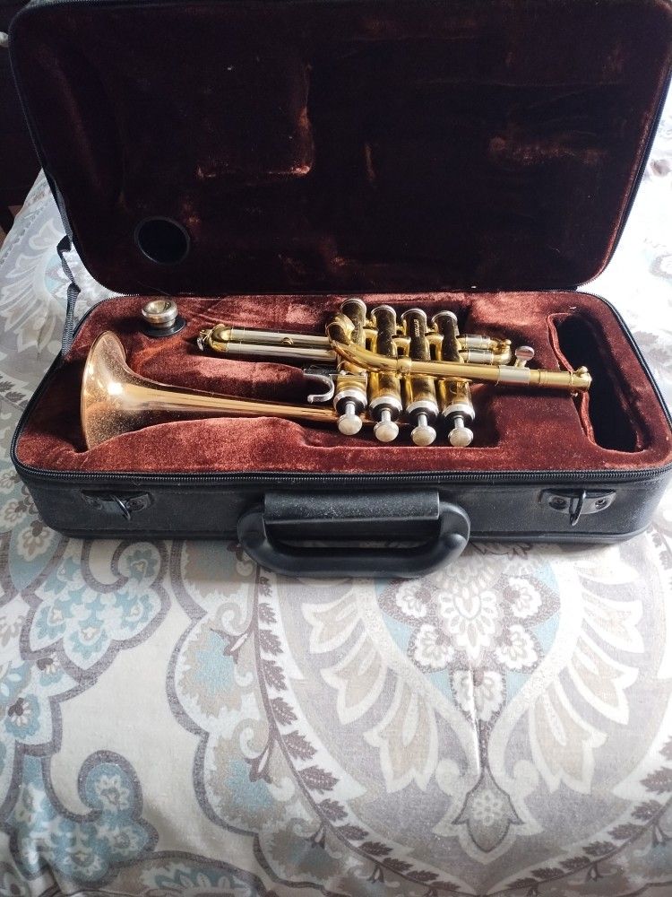 Solista Piccolo Trumpet