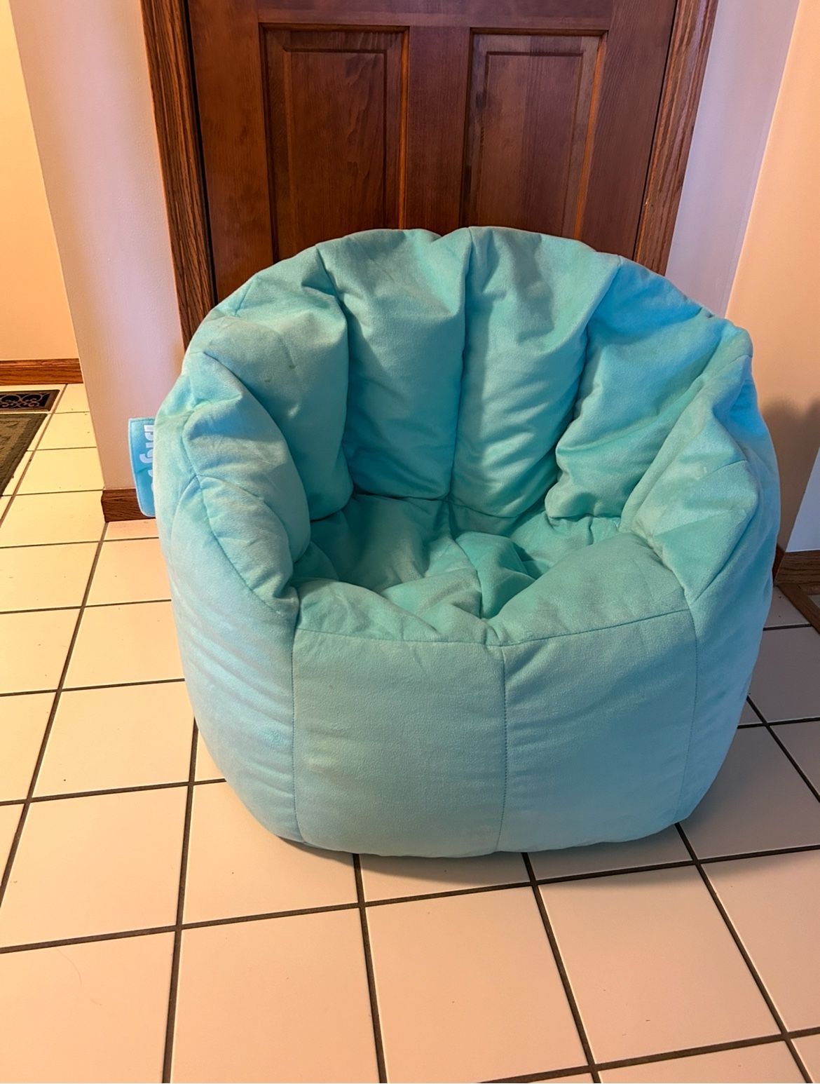 Big Joe Bean Bag Chair