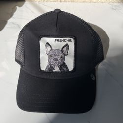 Frenchie Goorin Bros Adjustable Hat 🧢