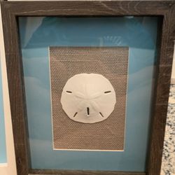 8”x10” Sand Dollar Art Natural Burlap Weathered Gray Frame