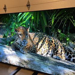 65” Smart Sony OLED 4K Ultra HD TV With HDR (XBR-65A8F)