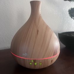 ANJOU Essential Oil Diffuser