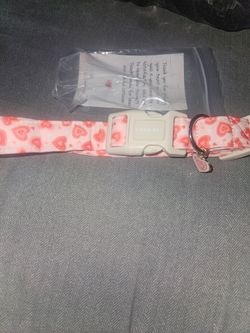 Aring pet valentines days dog collar