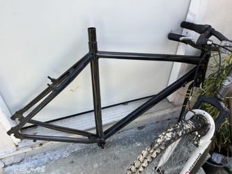 Fixie frame
