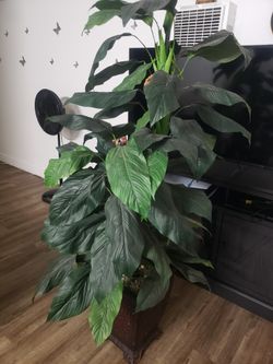 Fake tree