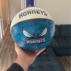 Charlotte hornets NBA Basketball
