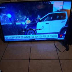 Televisión 55"