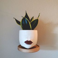 🪴 Set of 2 Handmade Wooden 6" Diameter Floating Plant Shelves or Nightstands 📚