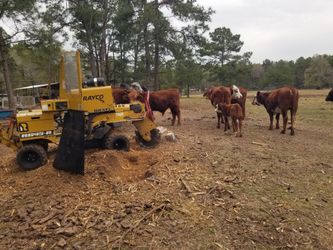 For Sale My Stump grinder Service