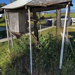 Outdoor Bird Cage 