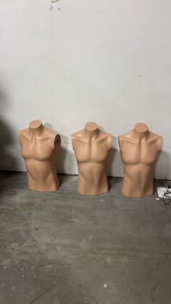 Mannequin Torso